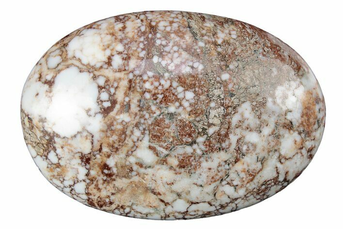 Polished Wild Horse Magnesite - Arizona #341931